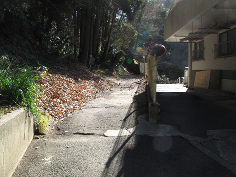 20180110hike (10)